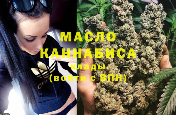 гидра Горняк