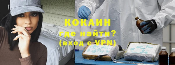 гидра Горняк