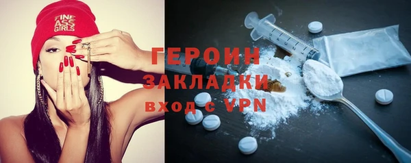 гидра Горняк