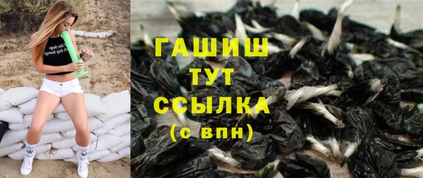 гидра Горняк