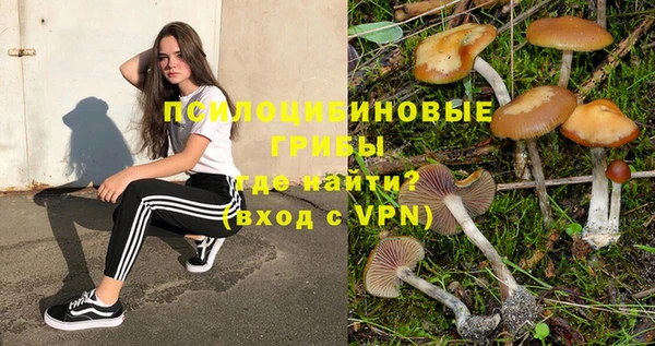 гидра Горняк