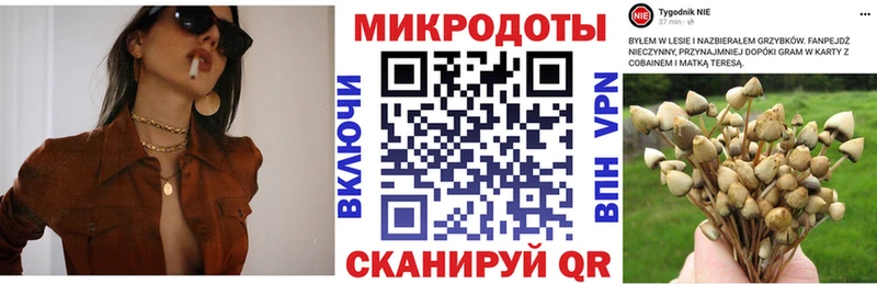 Псилоцибиновые грибы ЛСД  Демидов 